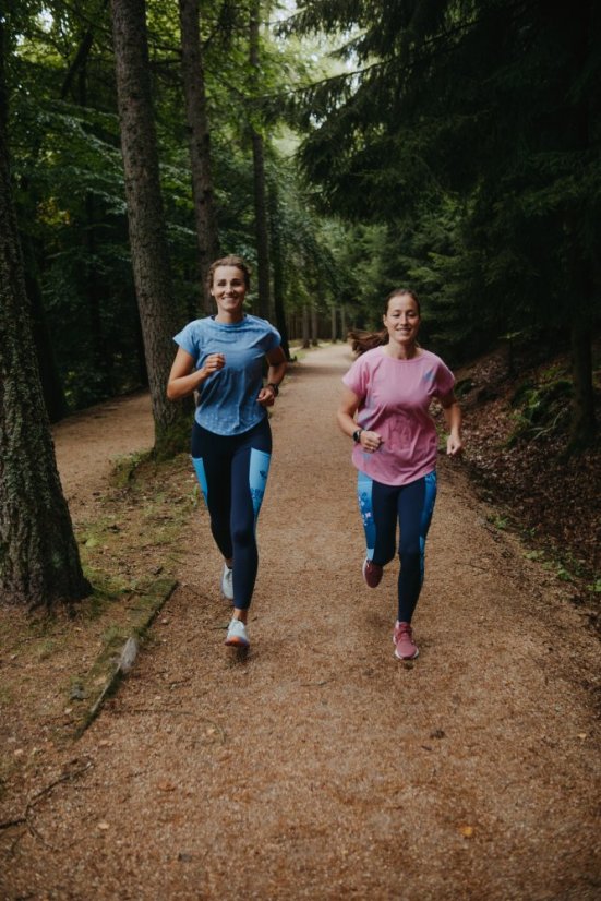 Legíny - Rozrazil Modrá