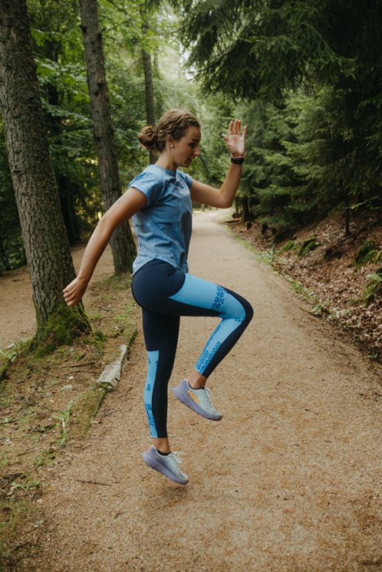 Legíny - Rozrazil Modrá